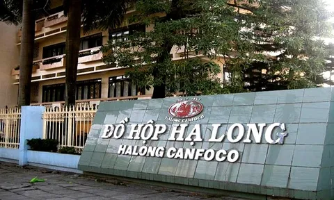 Vụ hơn 120 tấn thịt tả heo châu Phi tuồn vào nhà máy: Triệu tập lãnh đạo Công ty CP đồ hộp Hạ Long