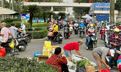 Lo chỗ học cho con công nhân: TPHCM rà soát khu vực đông lao động trước Tết 2026