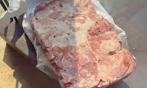 Ăn thịt lợn nhiễm dịch tả châu Phi nguy hiểm thế nào? 0