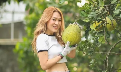 Thành quả không ngờ bên trong nhà vườn của Mỹ Tâm sau 4 năm