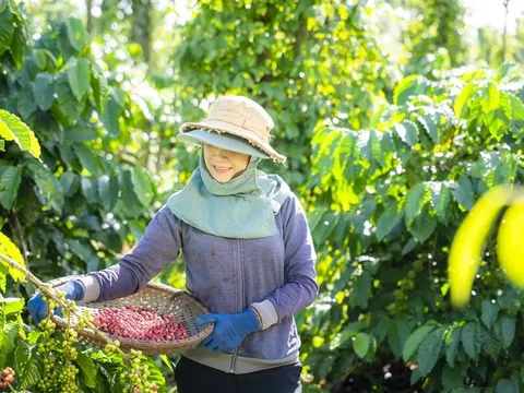 Nestlé tiên phong lan tỏa thói quen tiêu dùng xanh, hướng tới tương lai phát triển bền vững