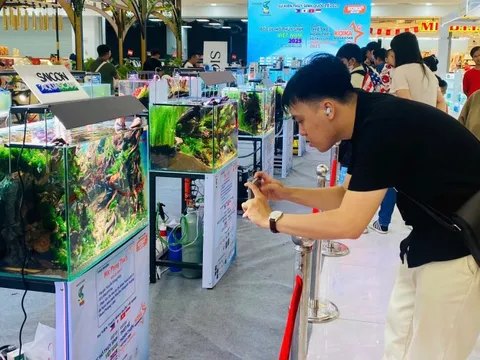 Lần đầu chiêm ngưỡng "ngón nghề" thủy sinh của các cao thủ thế giới