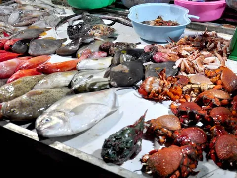 Người bán cá nói thẳng: “4 loại cá cho không cũng chẳng lấy, chỉ người không biết mới mua”