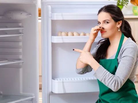Tủ lạnh thơm tho suốt tháng nếu biết để thứ này vào trong