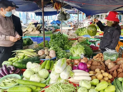 Người bán rau tiết lộ: "Tôi không bao giờ mua và ăn 4 loại rau củ này vì dễ 'ngậm' hóa chất, độc tố"