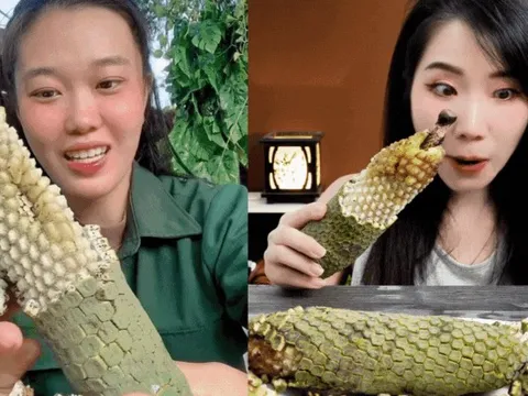 "7 năm chờ mới ăn được một quả": Loại cây nhà giàu trồng làm cảnh nay thành đặc sản mukbang gây sốt MXH