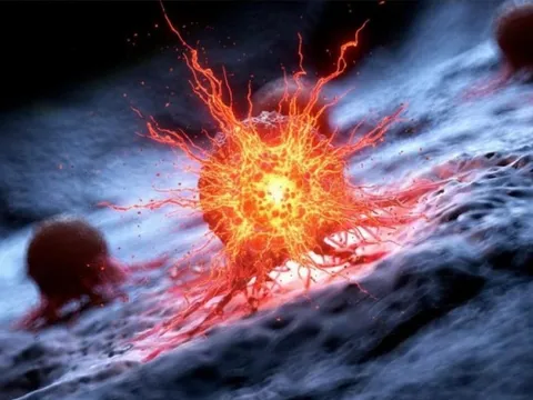 Một nhóm thuốc thông dụng có thể là vũ khí chống ung thư mới