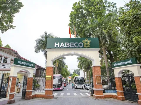Hà Nội xem xét xây dựng Bảo tàng Bia Hà Nội tại đất quy hoạch trường học