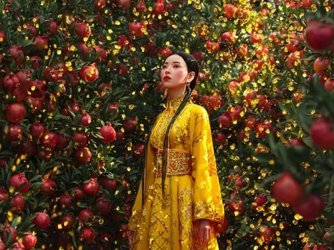 Tổng quan tử vi 12 con giáp trong tuần mới: Tý có tài lộc nhỏ, Thìn đỏ cả công danh lẫn tình duyên