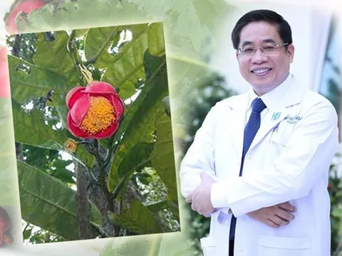 "Kho báu" mới được phát hiện tại Gia Lai mang tên của một vị bác sĩ nổi tiếng, đó là ai?