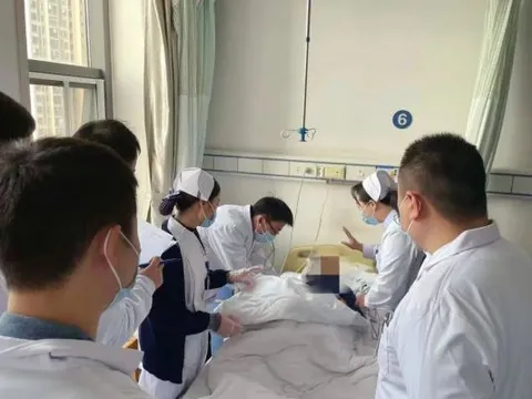 Cả nhà 4 người tím tái, nhập viện khẩn cấp vì loại cá quen thuộc nhưng chứa chất độc thần kinh cực mạnh