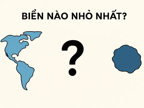Biển nào nhỏ nhất thế giới? 0