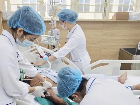 Người đàn ông 34 tuổi tử vong vì đắp lá chữa rắn hổ mang cắn 0