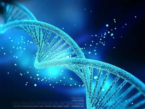 Bị bố chồng đuổi ra đường, con dâu quyết xét nghiệm ADN, lật tẩy bí mật giấu kín suốt 40 năm