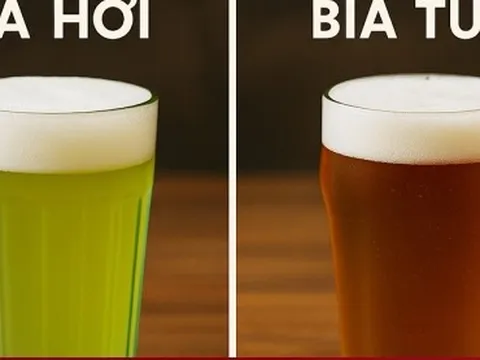 Bia hơi khác gì với bia tươi?