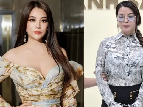 Sự nghiệp của diễn viên Trương Ngọc Ánh trước khi bị bắt 0