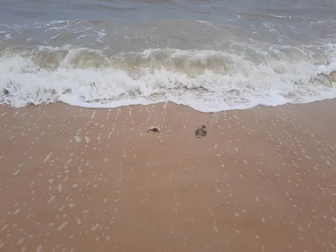 Thứ "không muốn thấy" xuất hiện ở bờ biển Quảng Trị