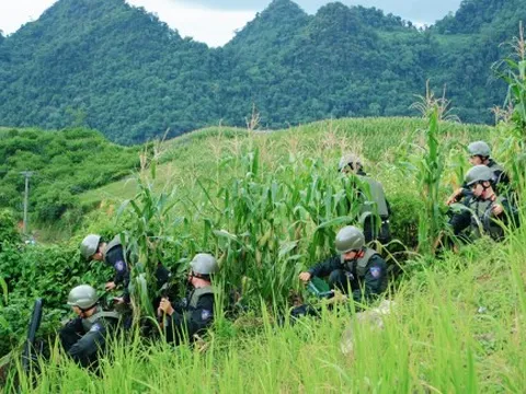 Sức hút từ Chiến sĩ quả cảm