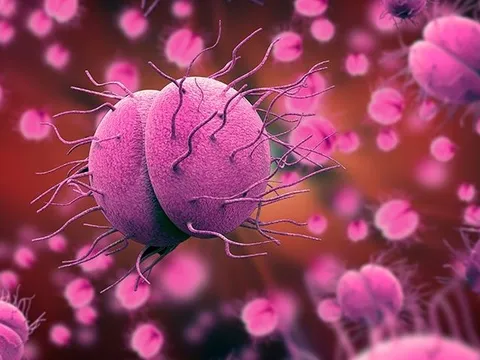 Hà Nội ghi nhận ca mắc não mô cầu là nam thanh niên 24 tuổi 0