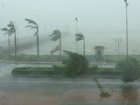 Bão số 13 Kalmaegi giật cấp 16 đổ bộ, 1 tỉnh huy động ô tô, xe thiết giáp khẩn cấp ứng phó