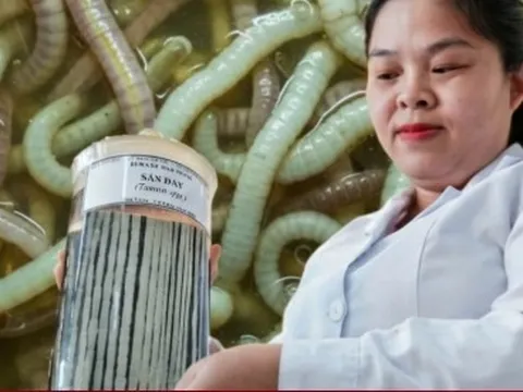 Bên trong bảo tàng lưu giữ những 'kẻ ký sinh' nguy hiểm nhất với con người