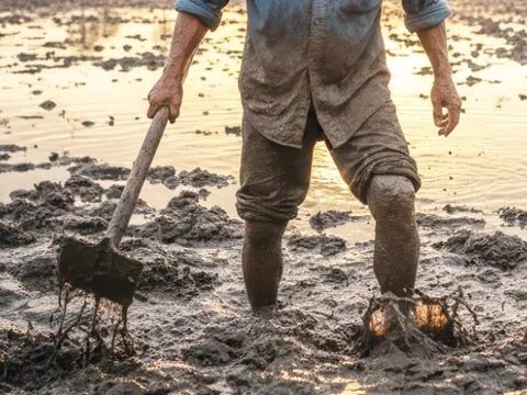 Lội bùn sau mưa lũ, người đàn ông suýt mất mạng vì vi khuẩn hiếm gặp 0