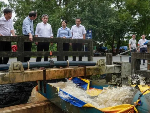 Lãnh đạo TP HCM thăm làng mai Bình Lợi ngập do triều cường