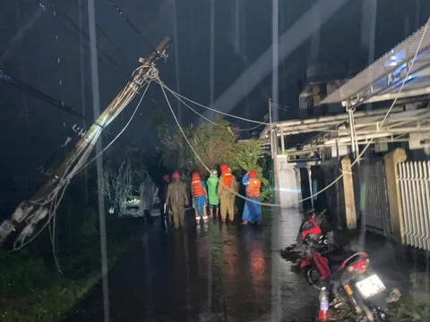 Bão số 13 Kalmaegi: Những thiệt hại nặng nề ở Gia Lai, Đắk Lắk