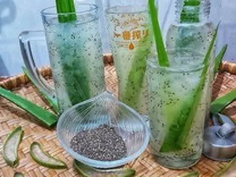 Khám phá bí quyết phục hồi tóc hư tổn từ lô hội và hạt chia