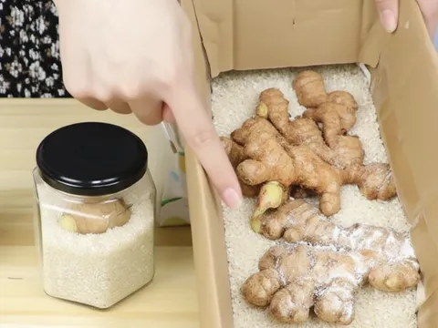 Tôi "tiếc đứt ruột" vì sống đến giờ mới biết 3 mẹo bảo quản gừng nửa năm vẫn tươi ngon, giữ được nhiều dinh dưỡng!