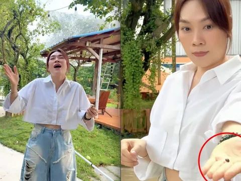 Mỹ Tâm khoe "tài sản khủng", có tiền chưa chắc mua được