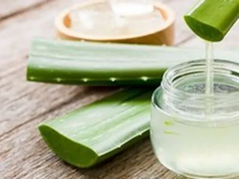 Loại da nào dùng gel lô hội là tốt nhất?