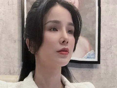 Diệp Lâm Anh xin lỗi