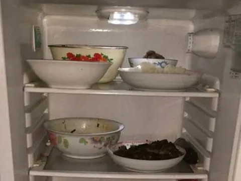 Có nên rút điện tủ lạnh khi đi xa?