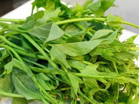 5 loại rau "ít thuốc, siêu lành": Giá rẻ nhất chợ Việt, không mua quá phí