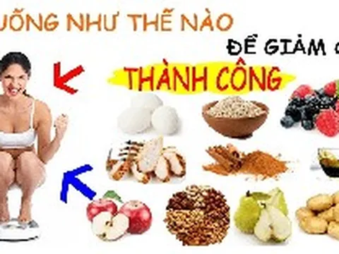 3 phương pháp chính ăn kiêng giảm cân, vậy phương pháp nào phù hợp với bạn?
