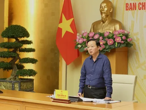 Phó Thủ tướng: Xử lý 100% các vụ vi phạm khai thác IUU còn tồn đọng