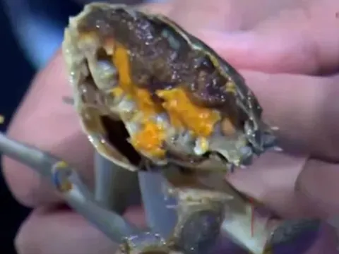 4 loại thịt dễ “ôm ổ ký sinh trùng”, dân buôn cũng ngại ăn