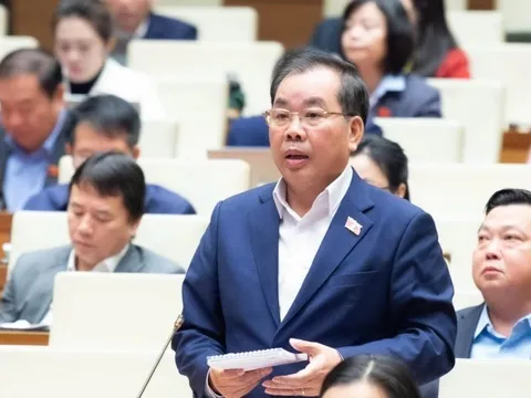 ĐBQH kiến nghị xem xét lại sự tồn tại của cơ sở giáo dục đại học vùng 0