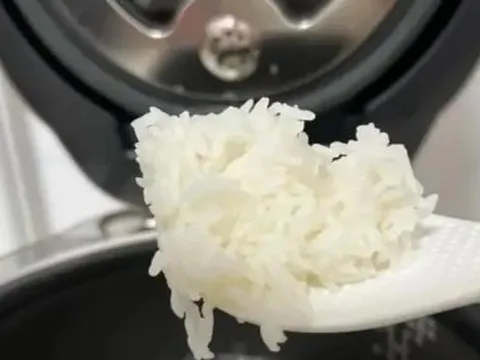 Có nên để nồi cơm điện luôn cắm điện ở chế độ giữ ấm?