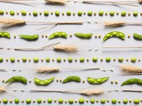 Thêm đạm thực vật mỗi sáng - Sống khỏe chủ động mỗi ngày