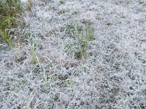 Băng giá phủ trắng đỉnh núi khi nền nhiệt giảm dưới 0°C