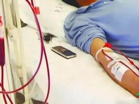 Thứ "phá thận" mạnh nhất không phải rượu, mà là 10 thói quen cả người lớn lẫn trẻ em đều mắc