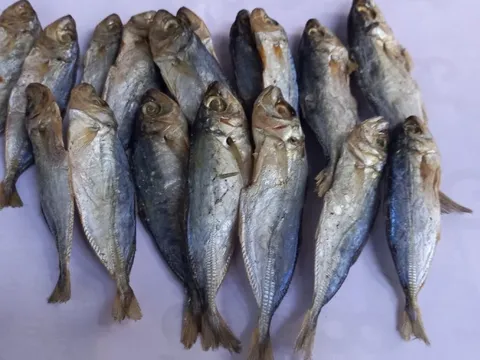 3 loại cá làm tăng nguy cơ mắc ung thư: Toàn món khoái khẩu của nhiều người