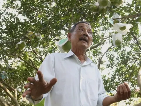 Công nghệ giúp người nông dân ở TPHCM "đổi đời"