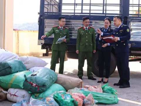 Bí mật giấu kín trong 40 bao tải trên xe ô tô đậu ven đường