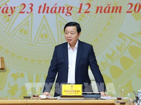 Phó Thủ tướng chỉ đạo xử lý nghiêm đường dây môi giới tàu cá ra nước ngoài khai thác trái phép