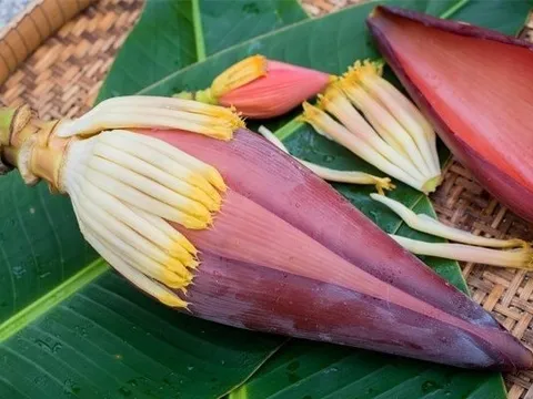 Loài hoa 'vừa là rau, vừa là thuốc' chuyên dùng để nhúng lẩu, làm gỏi