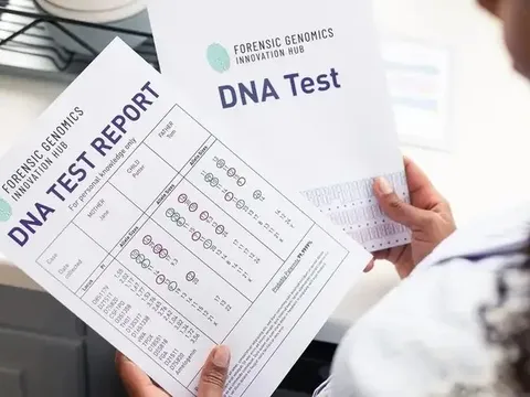 Đồng nghiệp của vợ bất ngờ gọi điện “đòi con”, chồng quyết định xét nghiệm ADN, sự thật được hé lộ