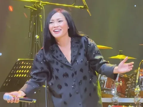 Nhiều ca sĩ nổi tiếng hát trong đêm nhạc quyên góp cho miền Trung